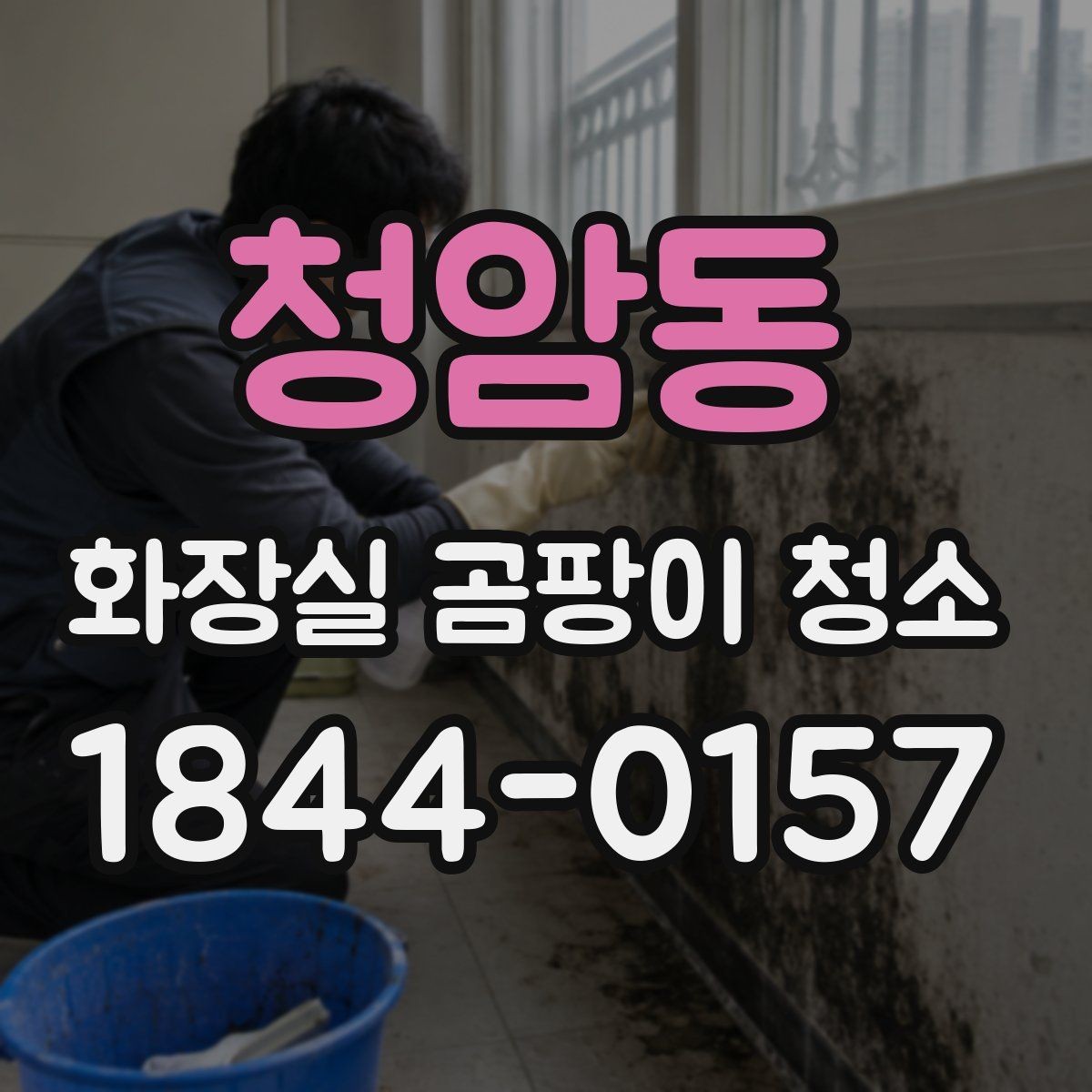 청암동 화장실 곰팡이 청소 제거제 쓰기 전에 재질 반응 점검하기