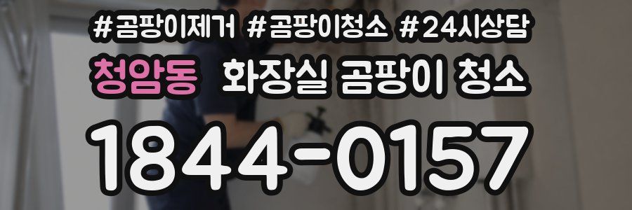 청암동 화장실 곰팡이 청소