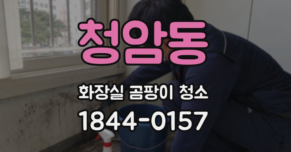 청암동 화장실 곰팡이 청소