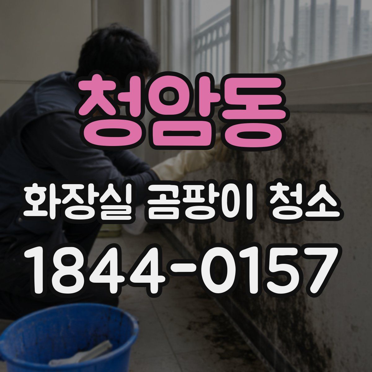 청암동 화장실 곰팡이 청소