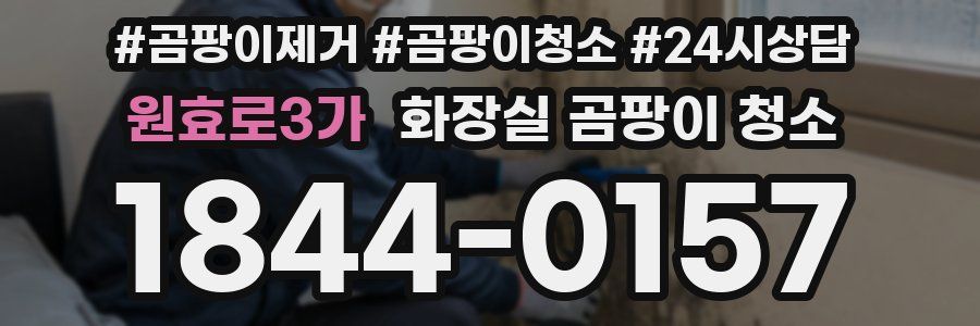 원효로3가 화장실 곰팡이 청소