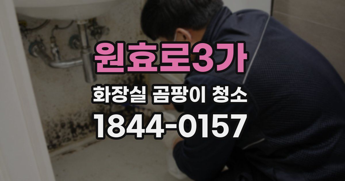 원효로3가 화장실 곰팡이 청소