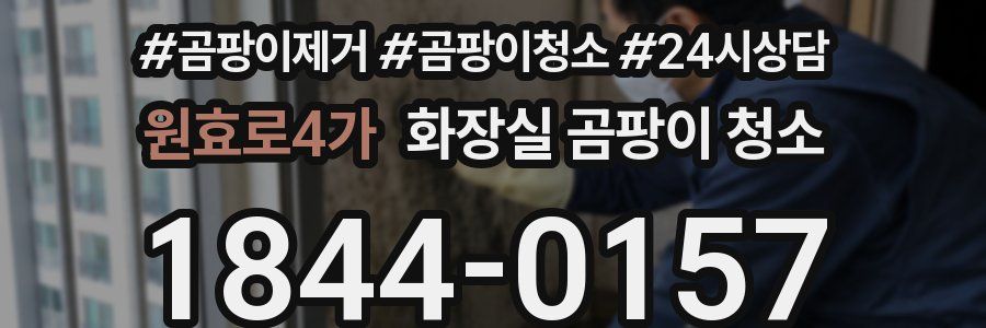 원효로4가 화장실 곰팡이 청소
