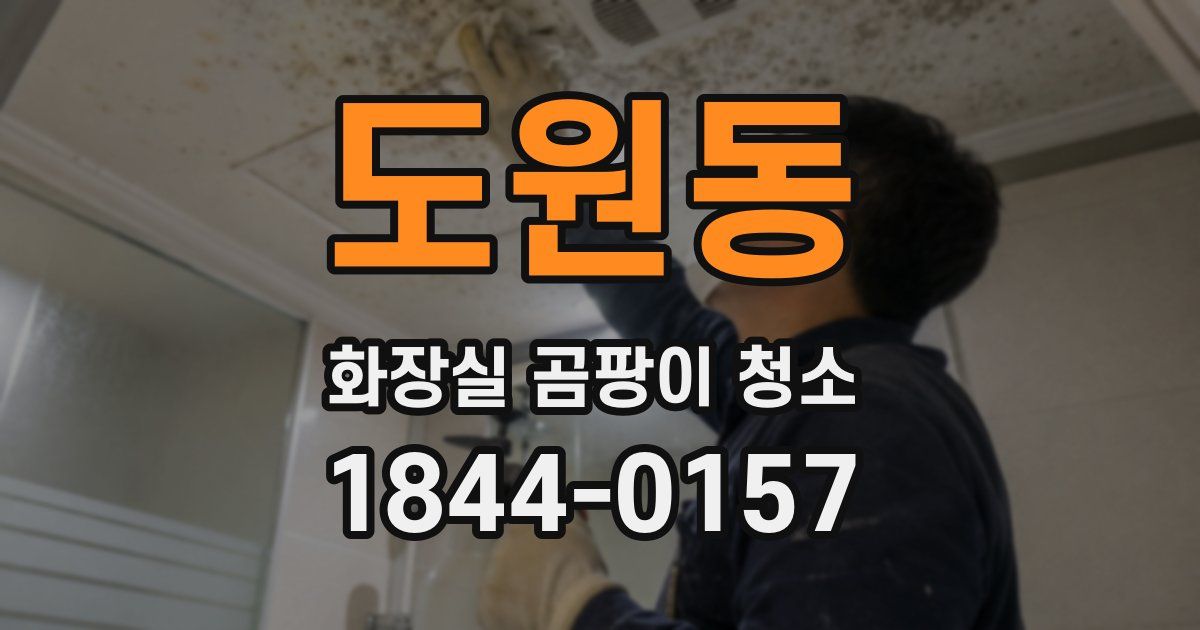 도원동 화장실 곰팡이 청소