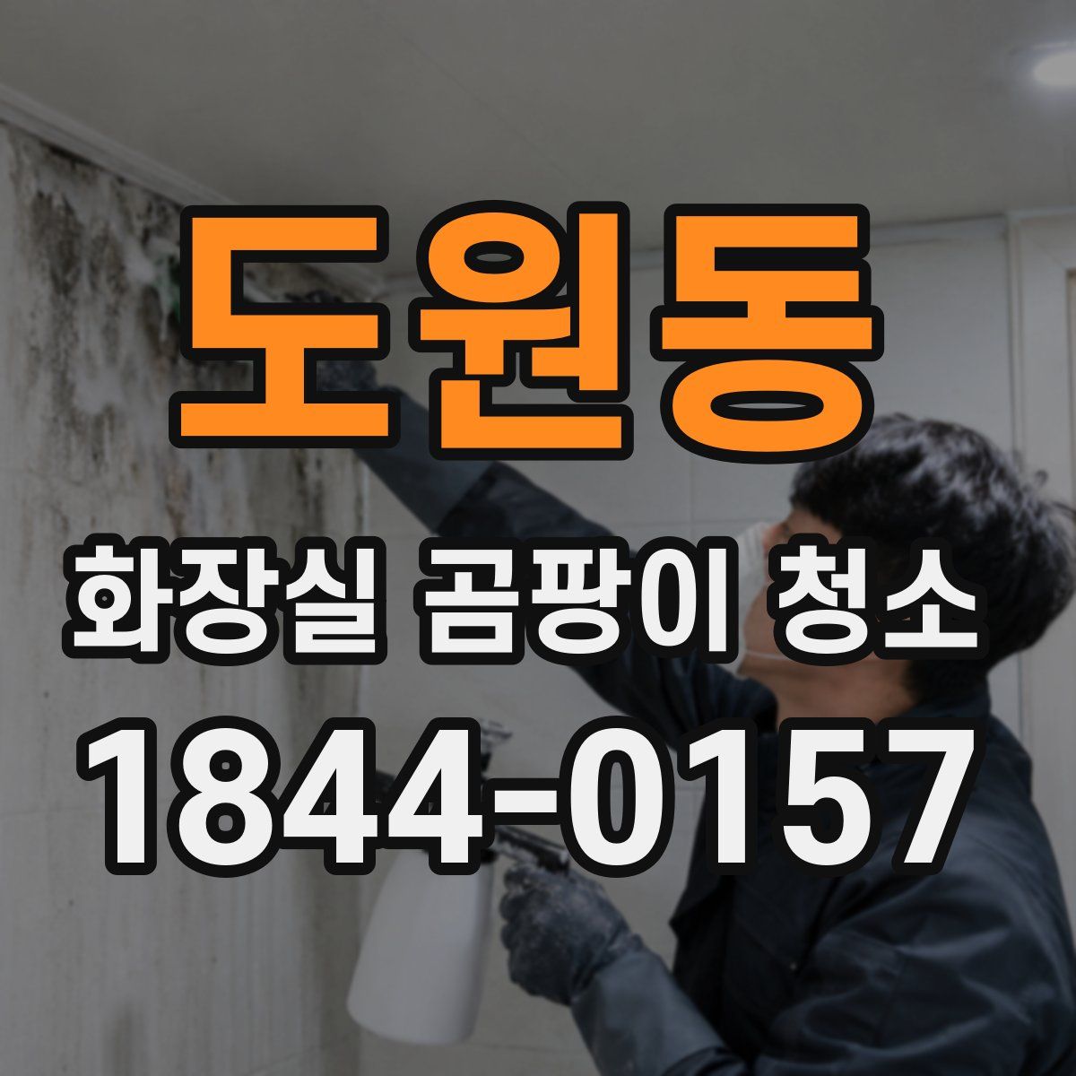 도원동 화장실 곰팡이 청소
