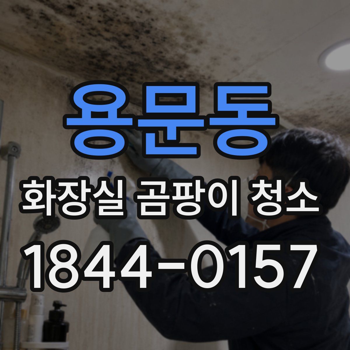 용문동 화장실 곰팡이 청소