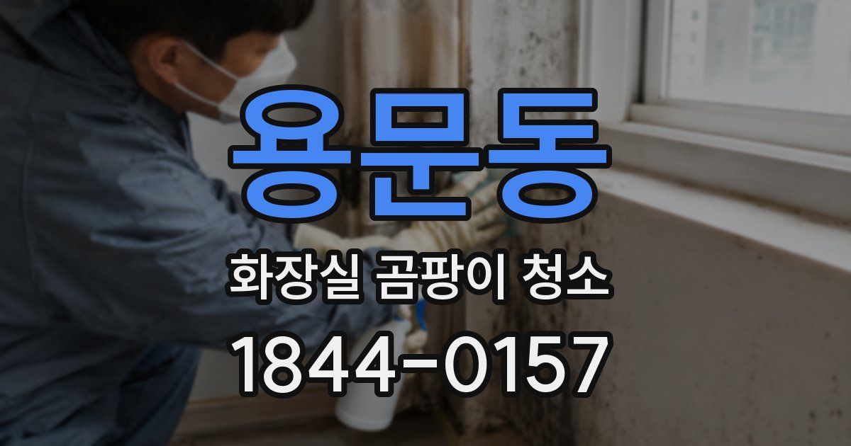 용문동 화장실 곰팡이 청소