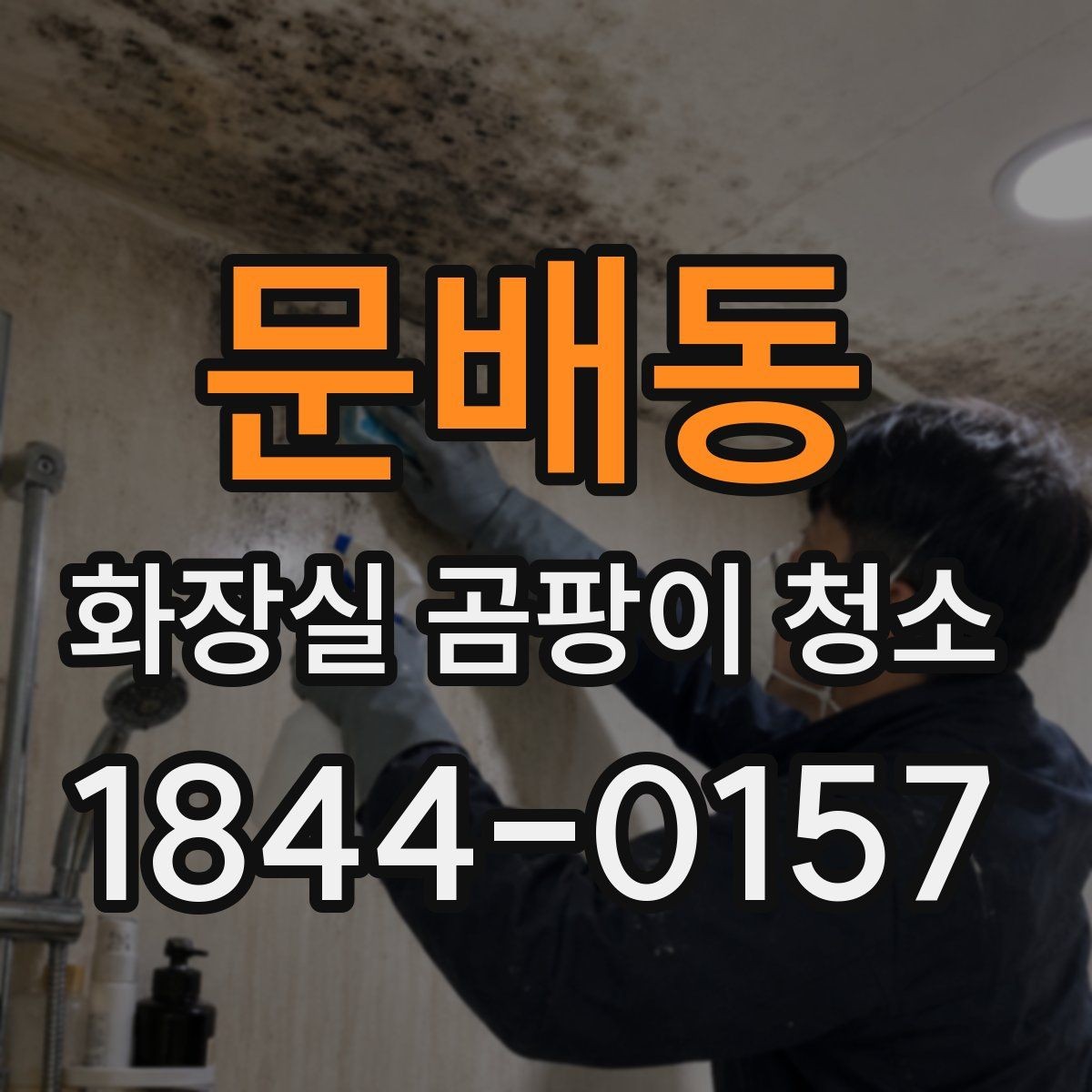 문배동 화장실 곰팡이 청소 환기창이 작은 공간에서 먼저 볼 관리 포인트
