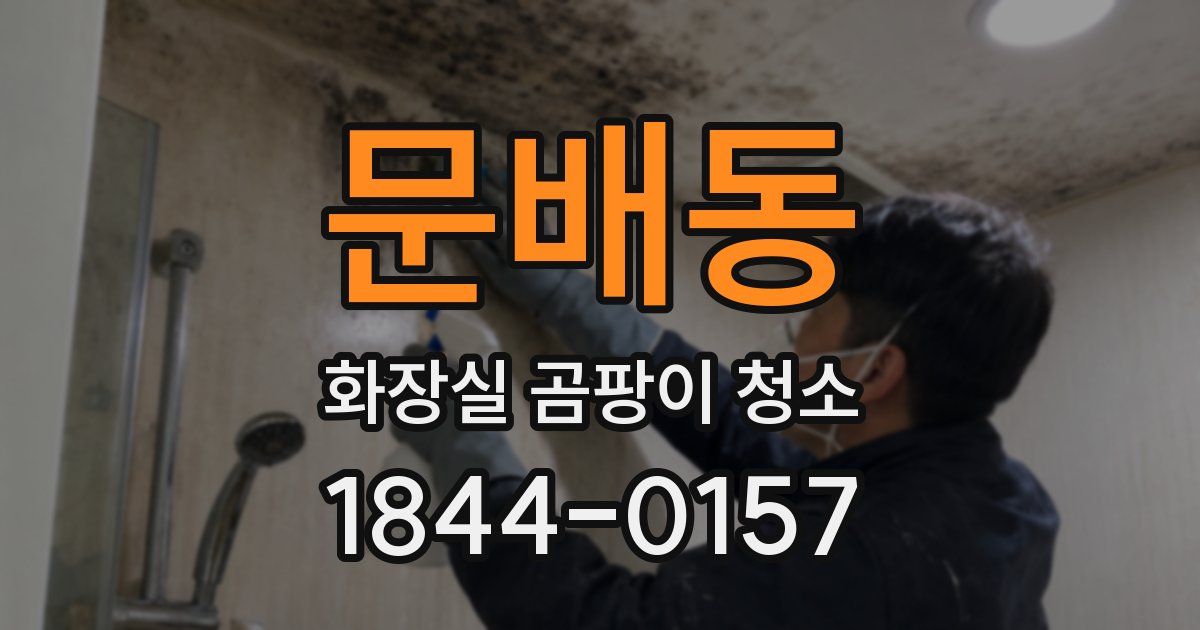 문배동 화장실 곰팡이 청소