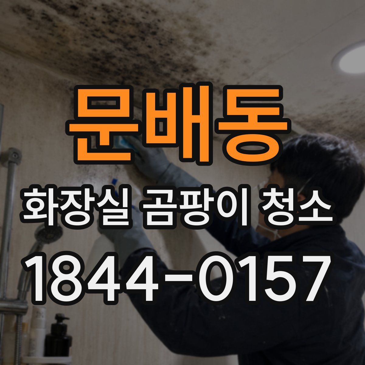 문배동 화장실 곰팡이 청소