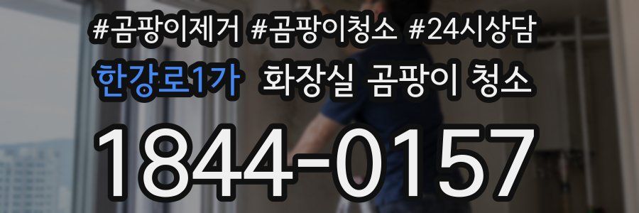 한강로1가 화장실 곰팡이 청소