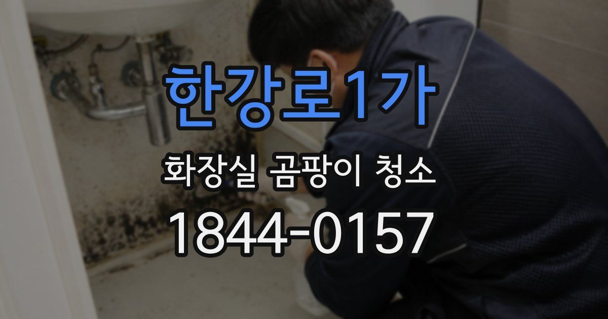 한강로1가 화장실 곰팡이 청소