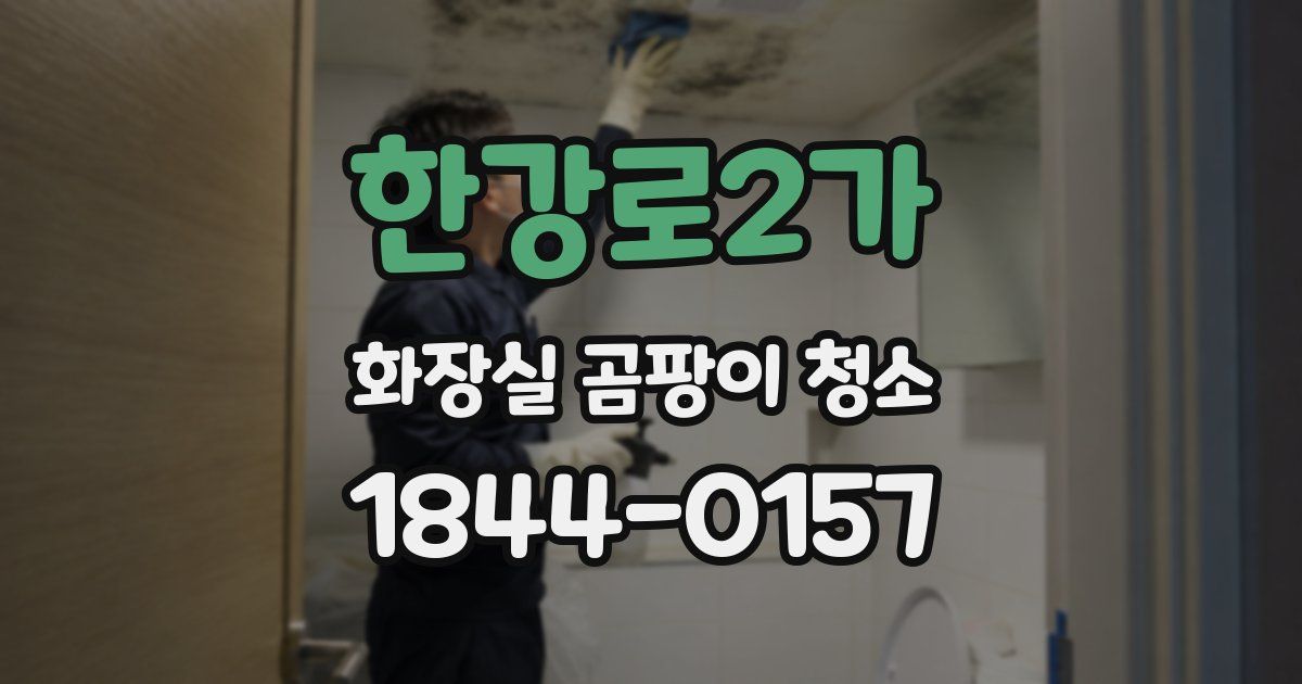 한강로2가 화장실 곰팡이 청소
