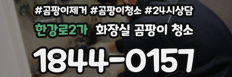 한강로2가 화장실 곰팡이 청소