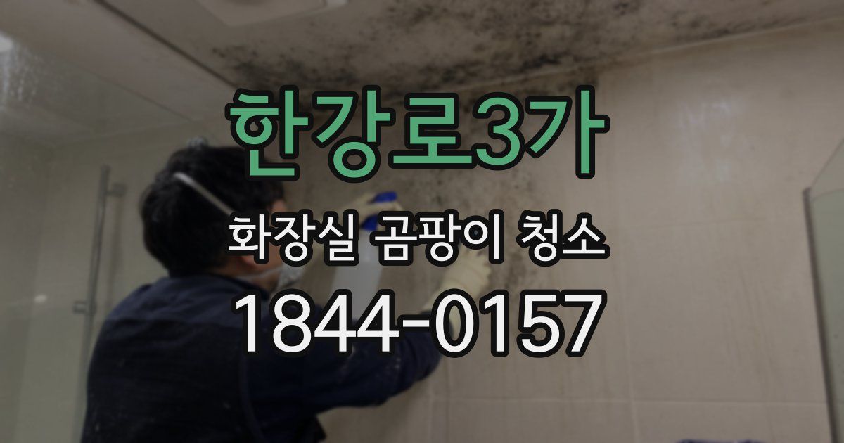 한강로3가 화장실 곰팡이 청소