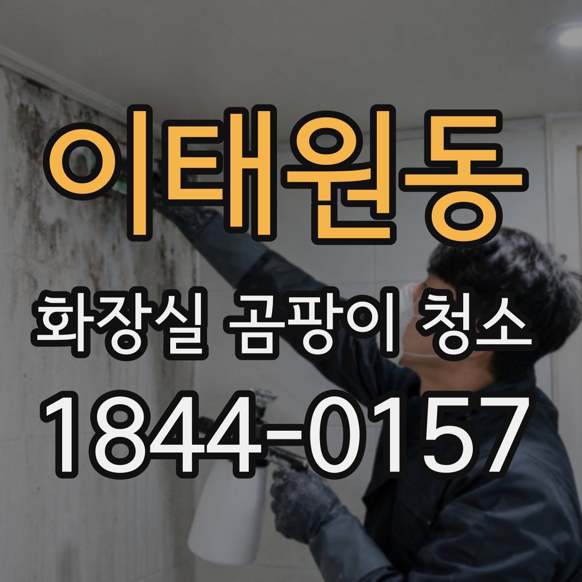 이태원동 화장실 곰팡이 청소
