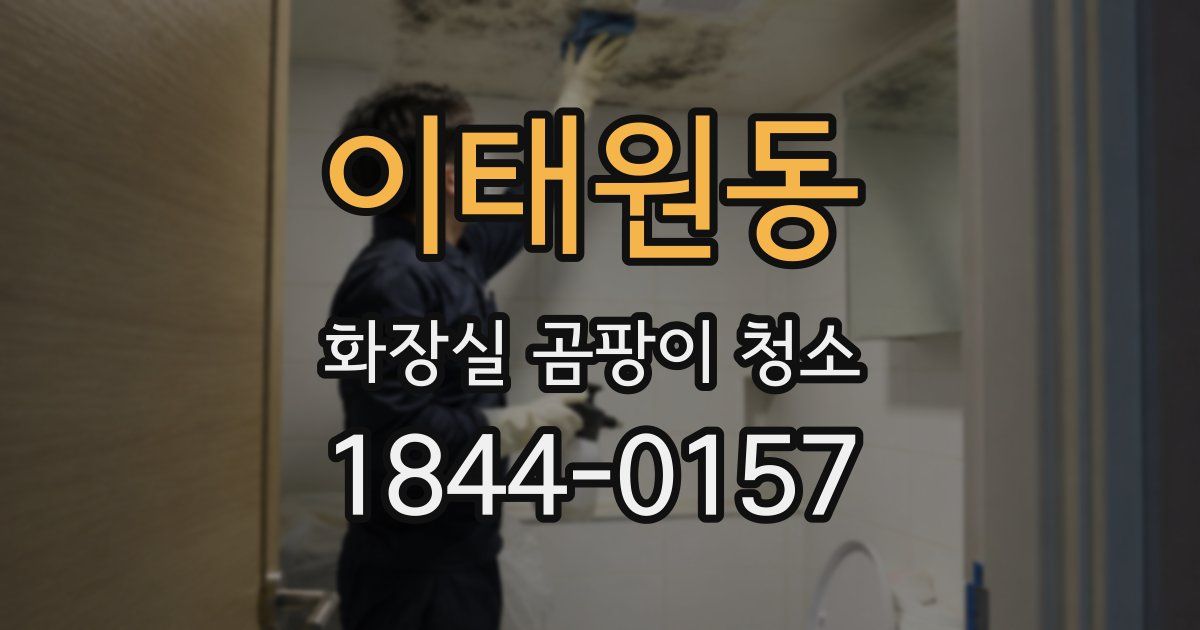 이태원동 화장실 곰팡이 청소