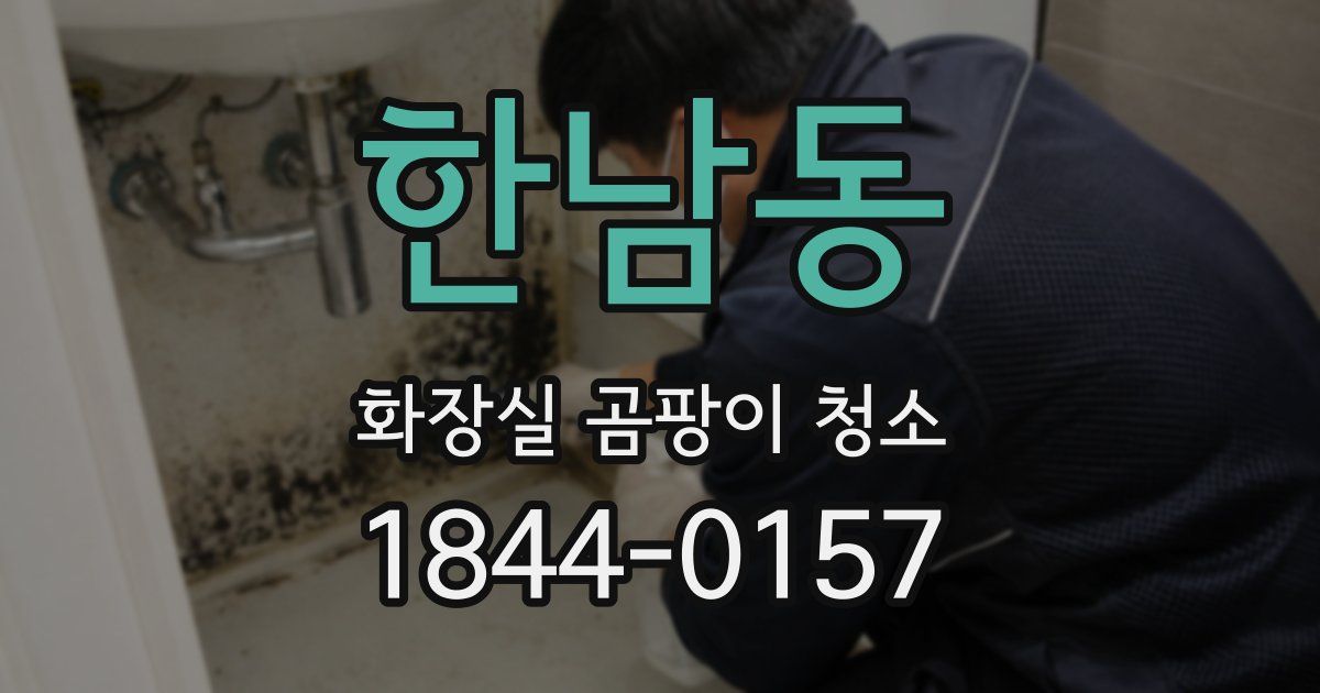한남동 화장실 곰팡이 청소