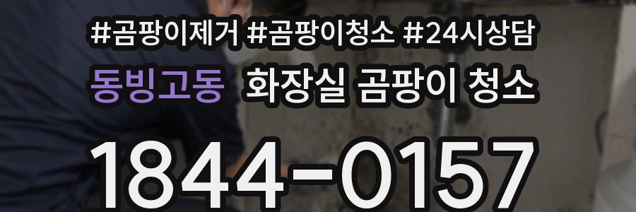 동빙고동 화장실 곰팡이 청소