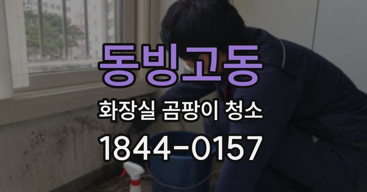 동빙고동 화장실 곰팡이 청소