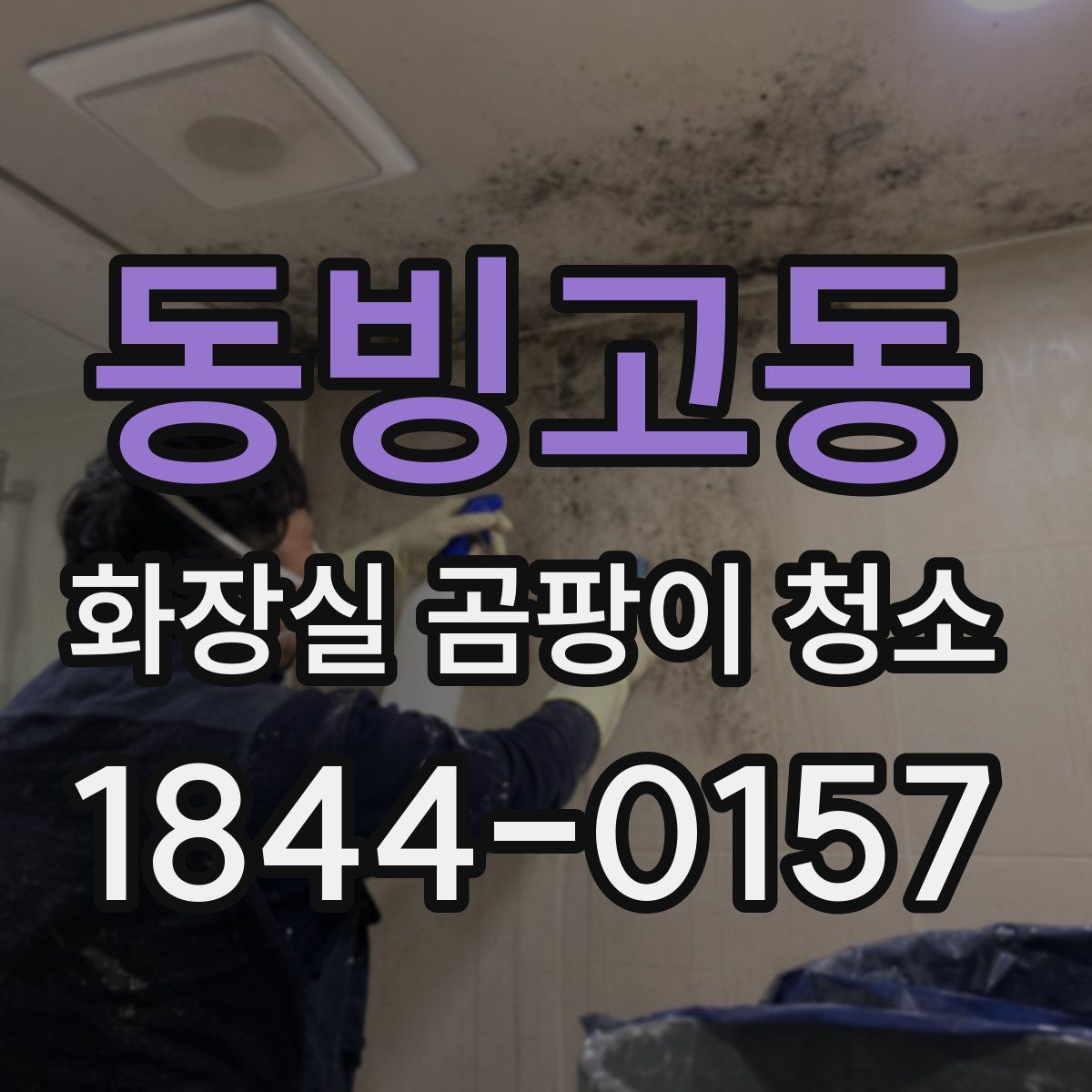 동빙고동 화장실 곰팡이 청소