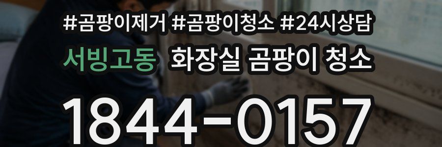 서빙고동 화장실 곰팡이 청소