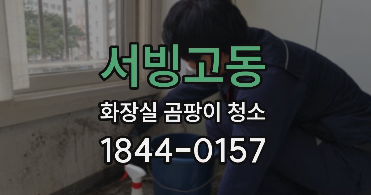 서빙고동 화장실 곰팡이 청소