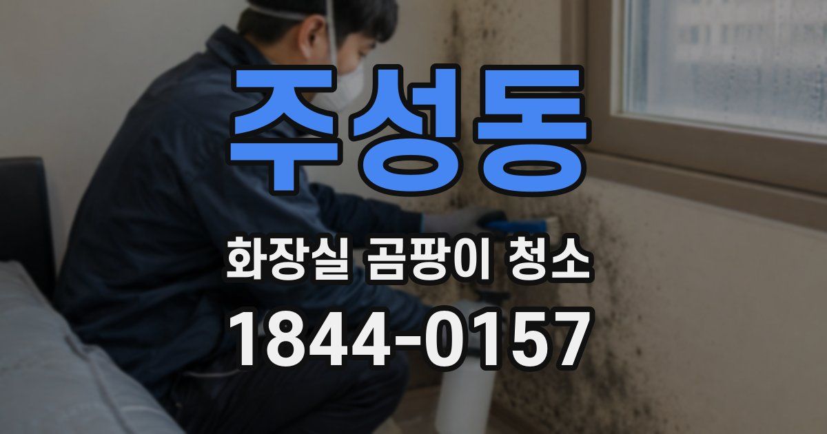 주성동 화장실 곰팡이 청소