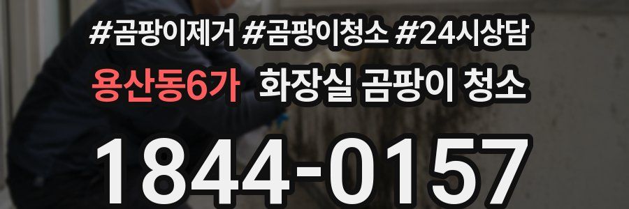 용산동6가 화장실 곰팡이 청소