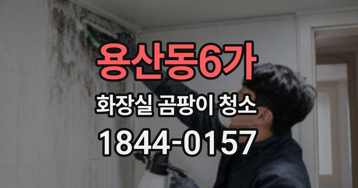 용산동6가 화장실 곰팡이 청소