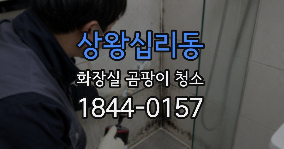 상왕십리동 화장실 곰팡이 청소