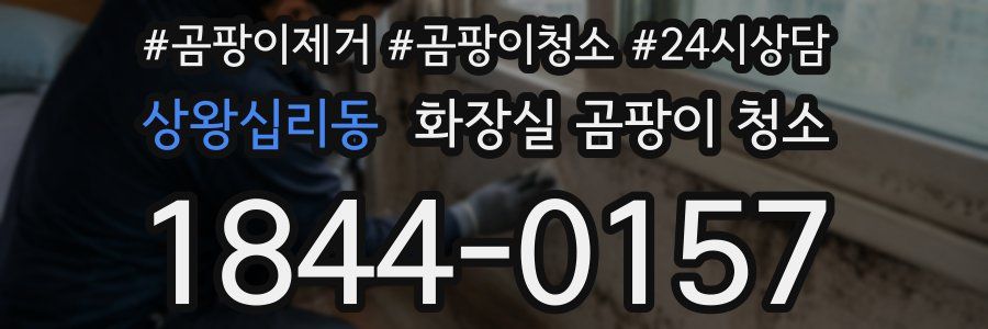 상왕십리동 화장실 곰팡이 청소