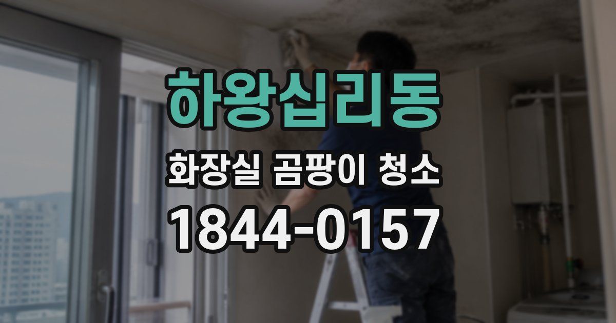하왕십리동 화장실 곰팡이 청소