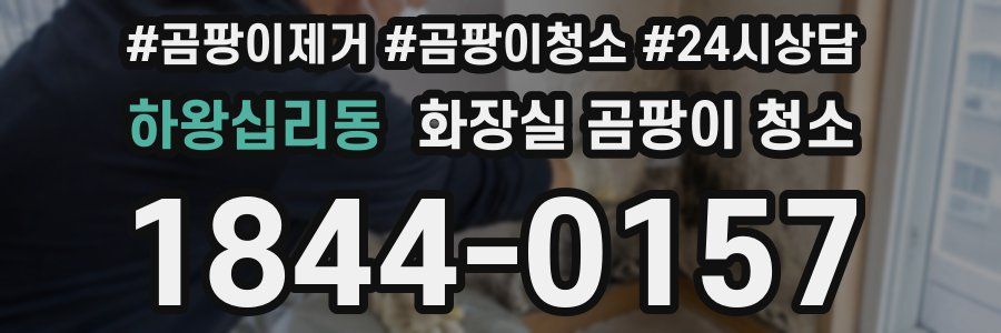 하왕십리동 화장실 곰팡이 청소
