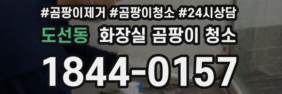 도선동 화장실 곰팡이 청소