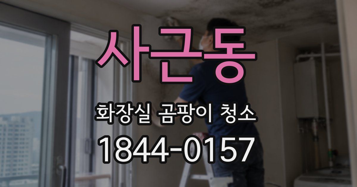 사근동 화장실 곰팡이 청소