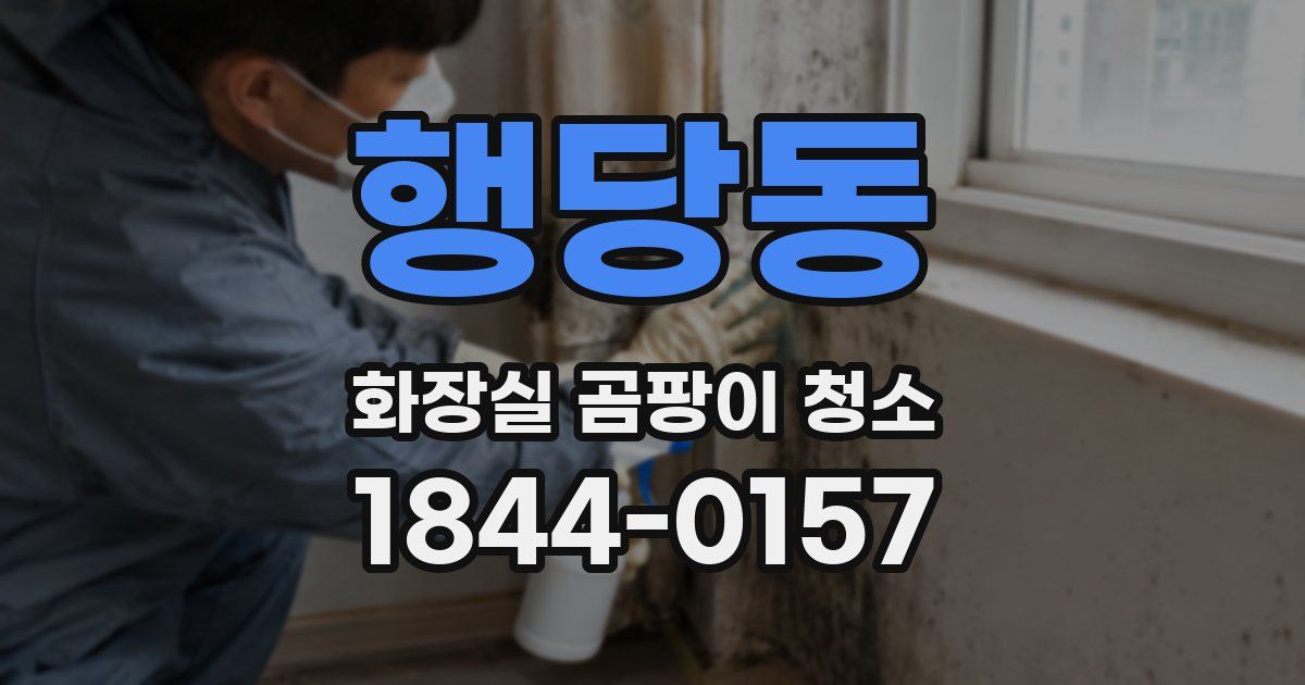 행당동 화장실 곰팡이 청소