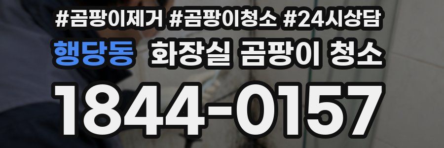 행당동 화장실 곰팡이 청소