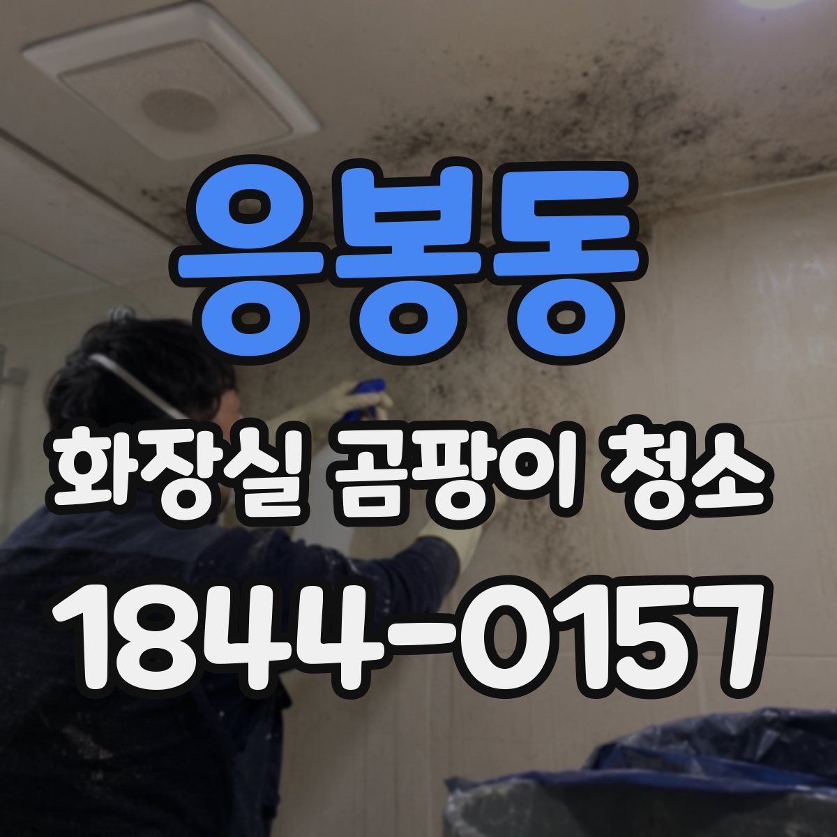 응봉동 화장실 곰팡이 청소