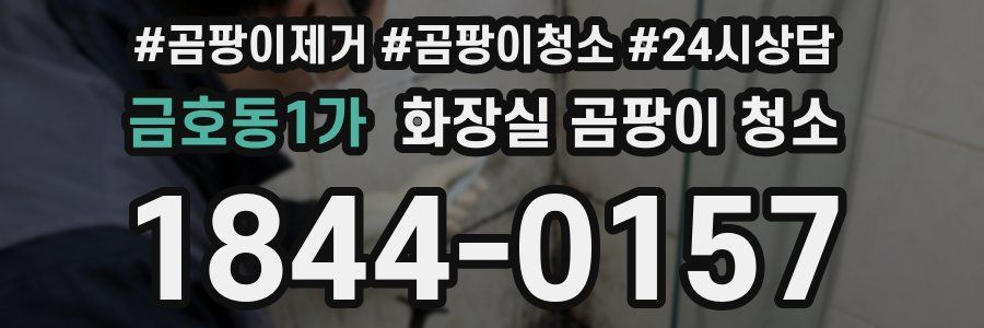 금호동1가 화장실 곰팡이 청소