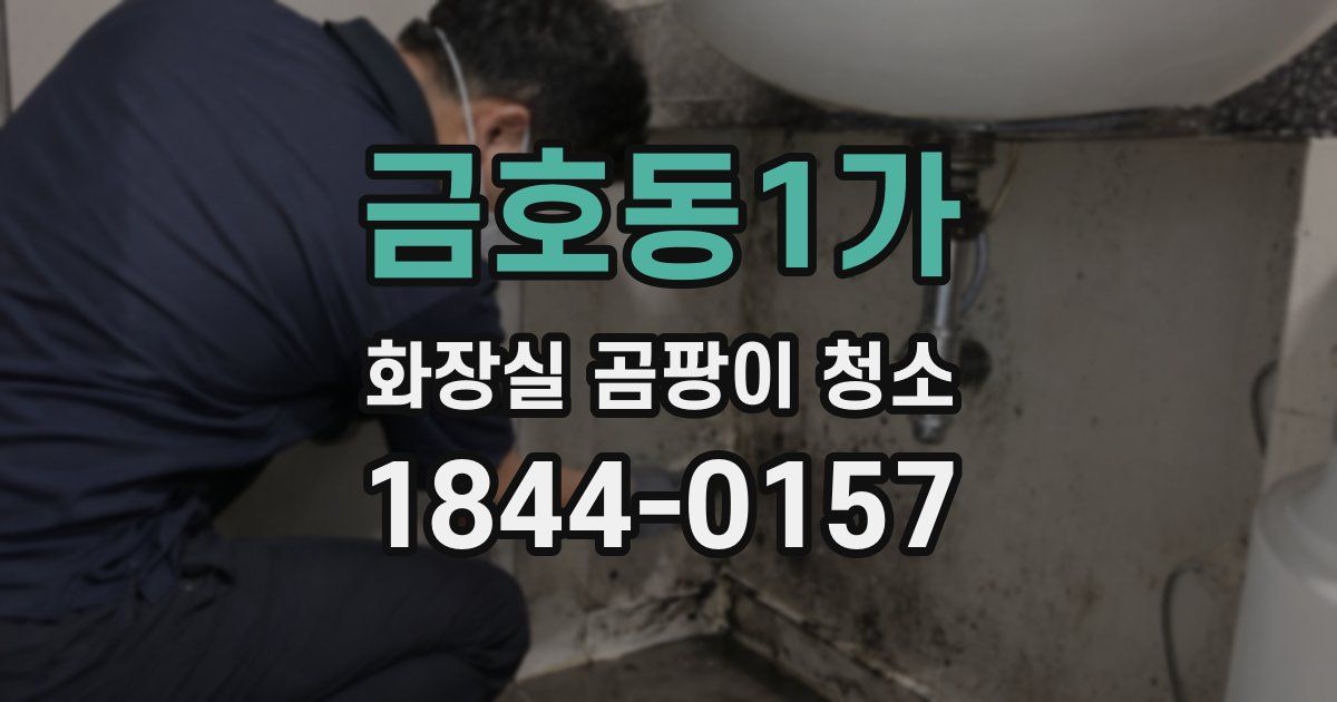금호동1가 화장실 곰팡이 청소