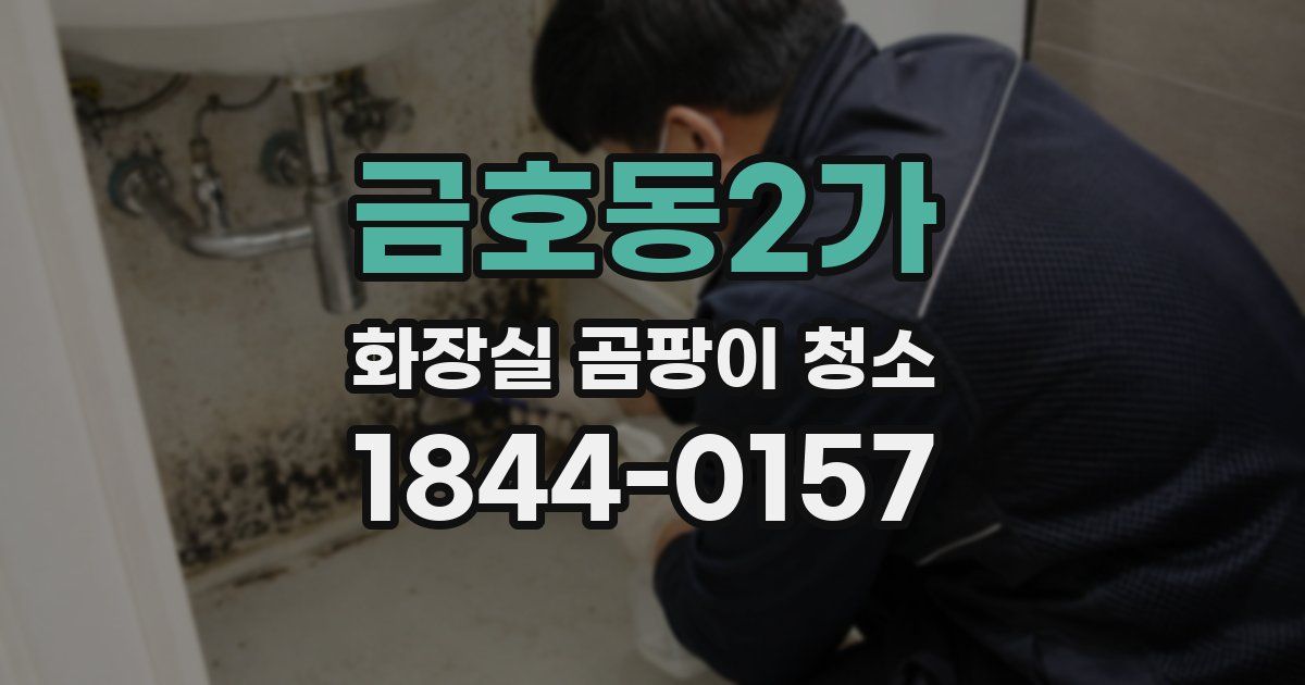 금호동2가 화장실 곰팡이 청소