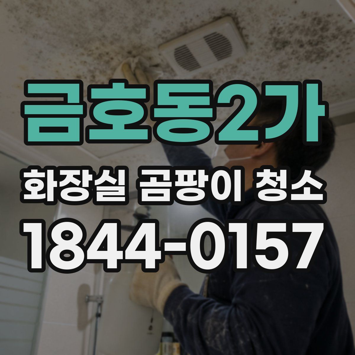 금호동2가 화장실 곰팡이 청소