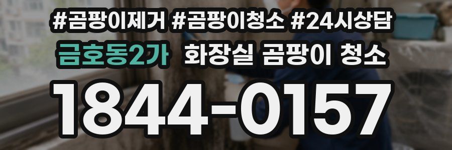 금호동2가 화장실 곰팡이 청소