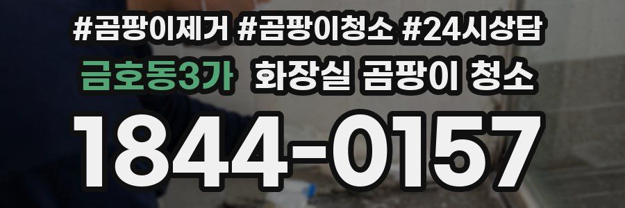 금호동3가 화장실 곰팡이 청소