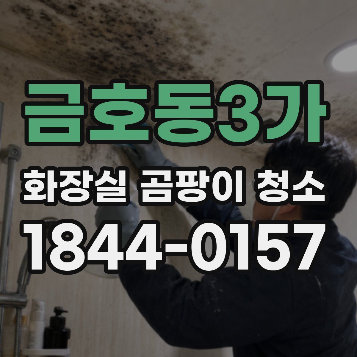 금호동3가 화장실 곰팡이 청소