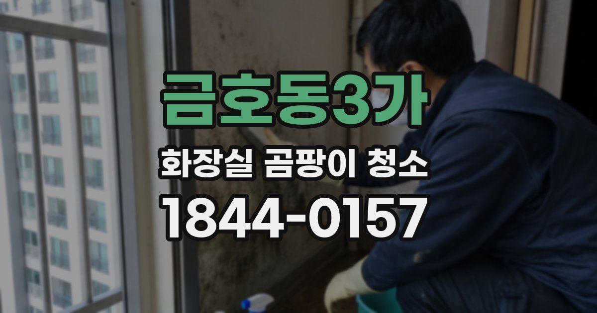 금호동3가 화장실 곰팡이 청소