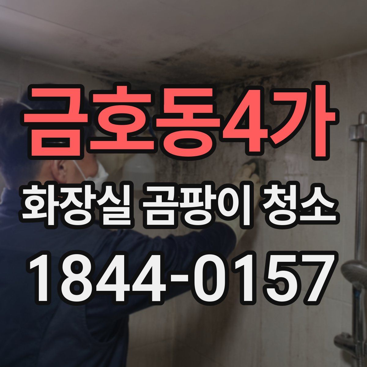 금호동4가 화장실 곰팡이 청소