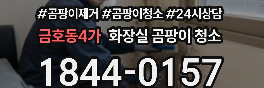 금호동4가 화장실 곰팡이 청소