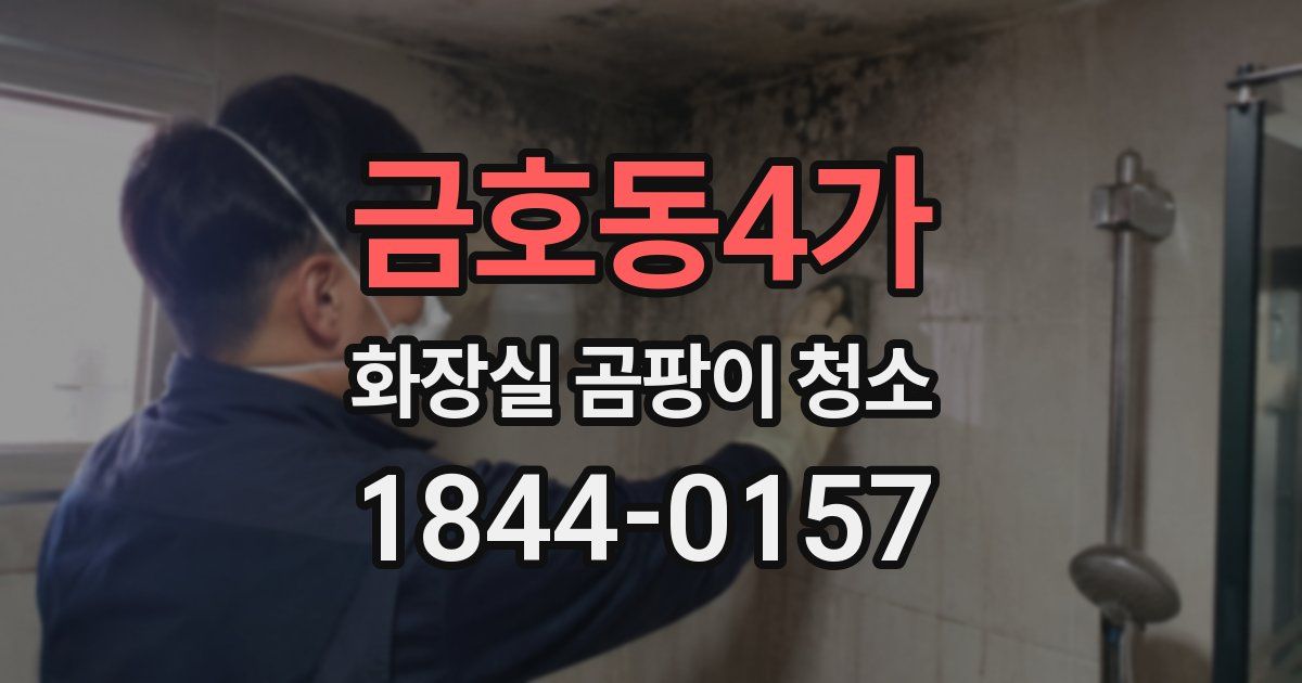 금호동4가 화장실 곰팡이 청소